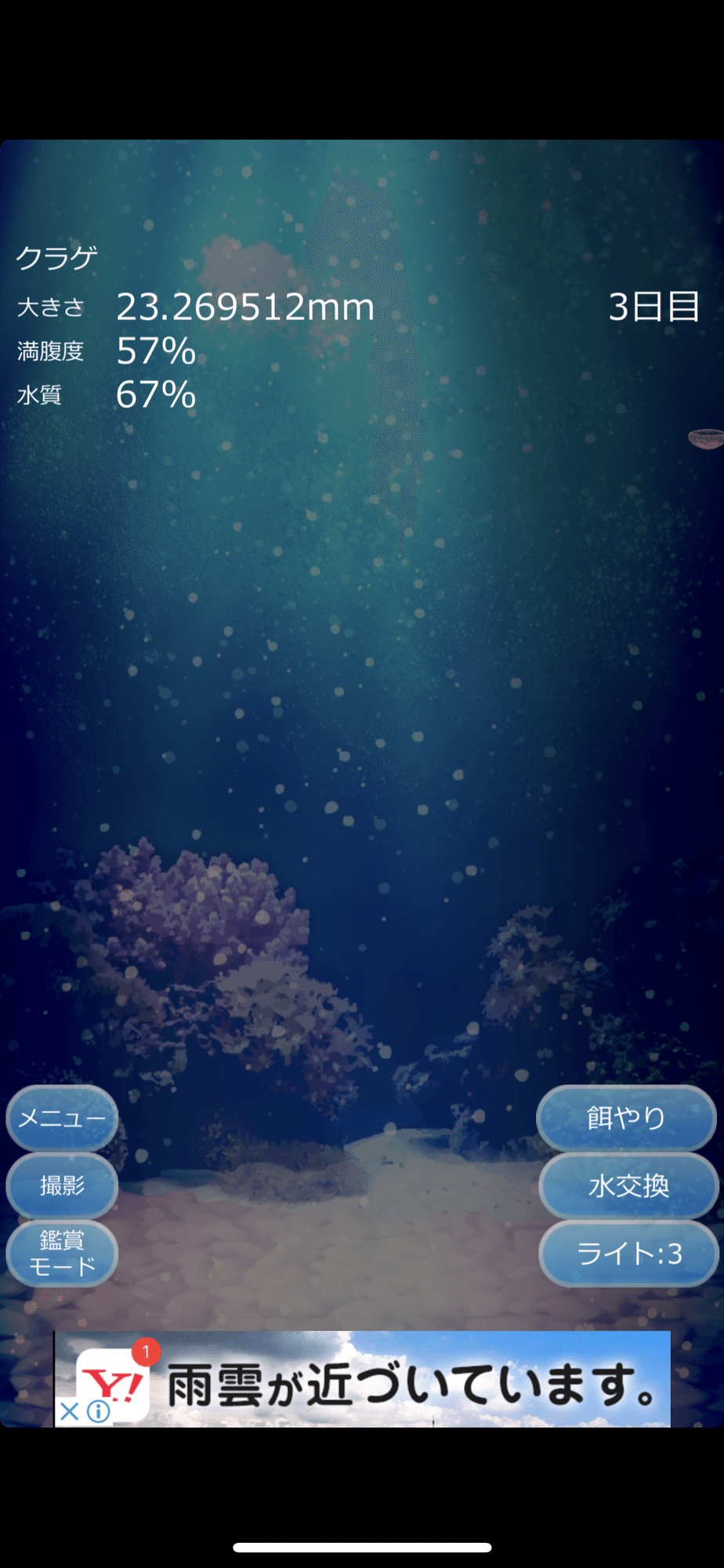 クラゲ育成日記 さいかわ日記番外編 名月 一ノ瀬迷子 Ichinose Meiko Note クラゲ育成日記 さいかわ日記番外編 名月 一ノ瀬迷子 Ichinose Meiko Note