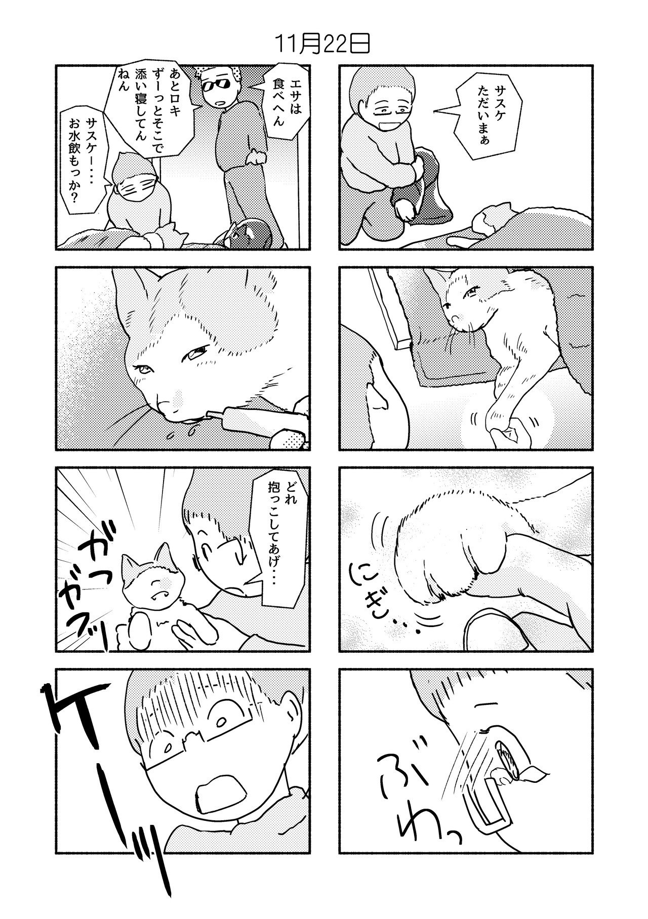 猫と夫と私_038