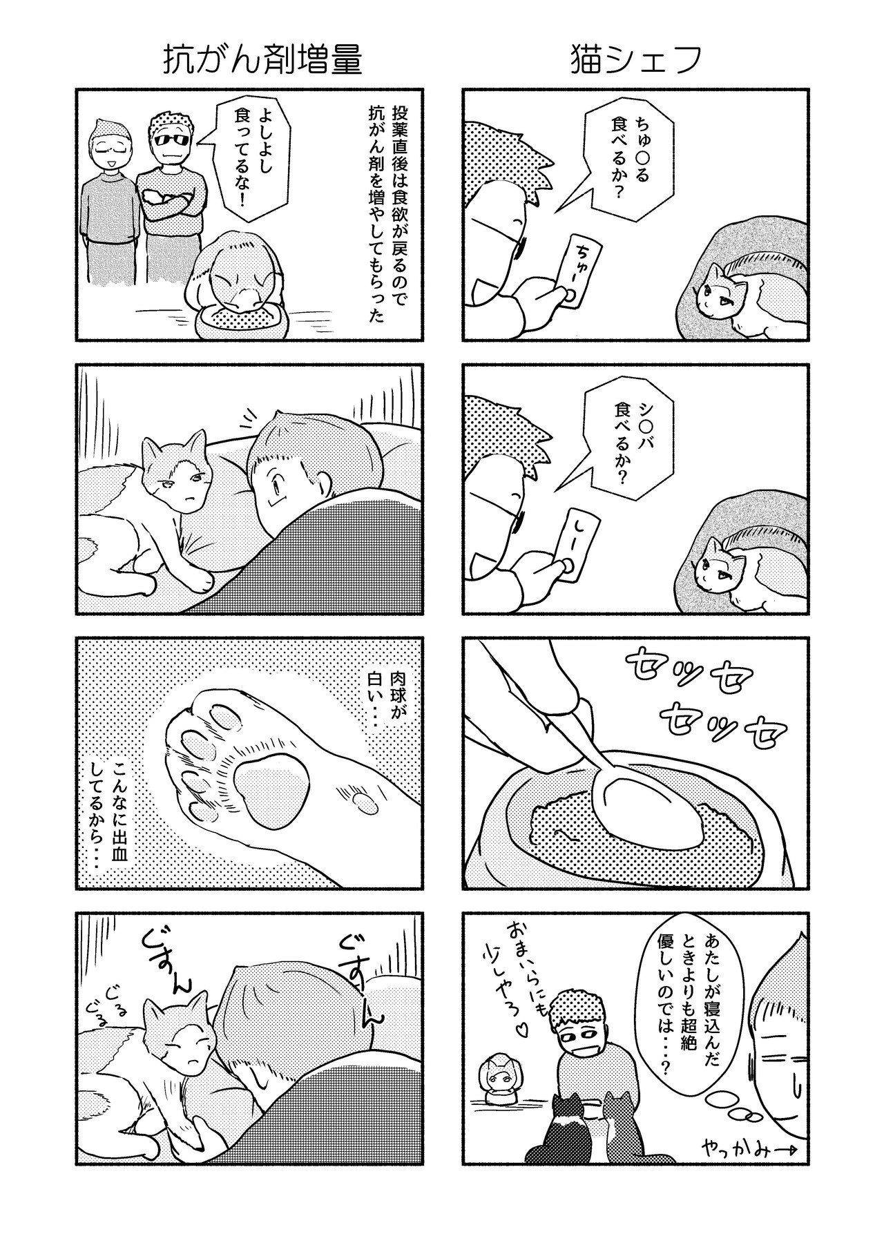 猫と夫と私_036