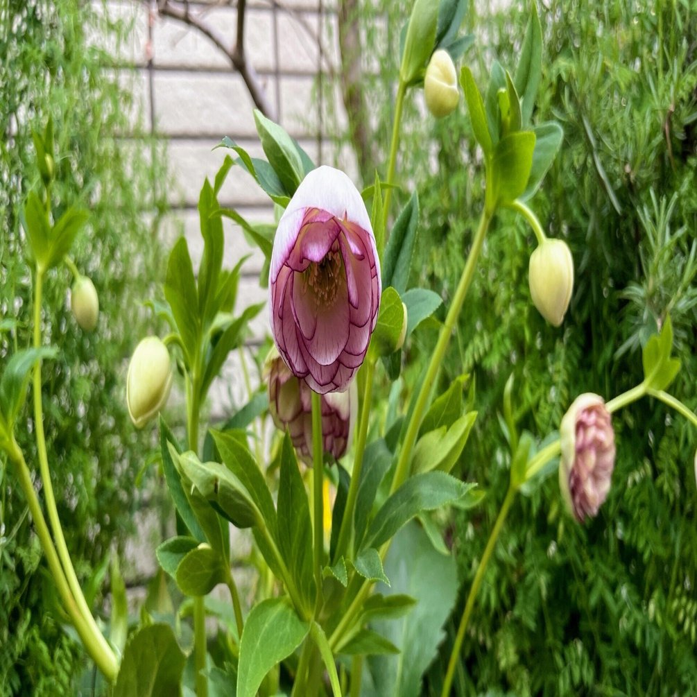 池大雅 陽光の山水：4 ／出光美術館｜美術館とお寺と猫