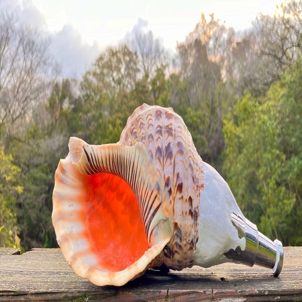 法螺貝合宿やります＠淡路島 10月19-20日 〜法螺吹きになれる2日間