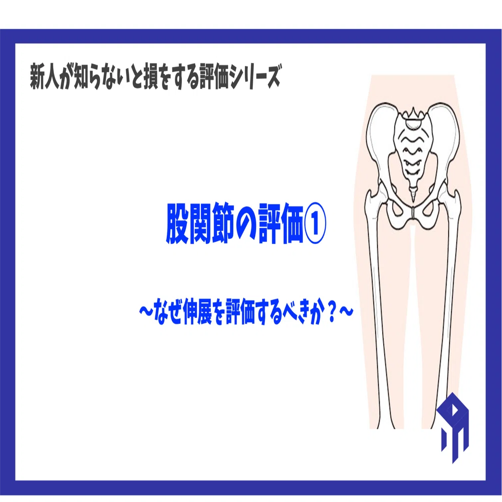 股関節の評価①｜加藤淳