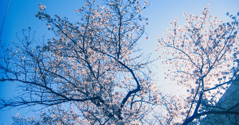 「ちがい」は「まちがい」ではなくて。