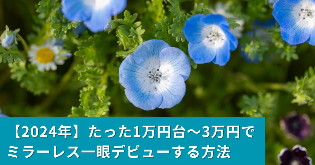2024年】たった1万円台〜3万円でミラーレス一眼デビューする方法（作例 