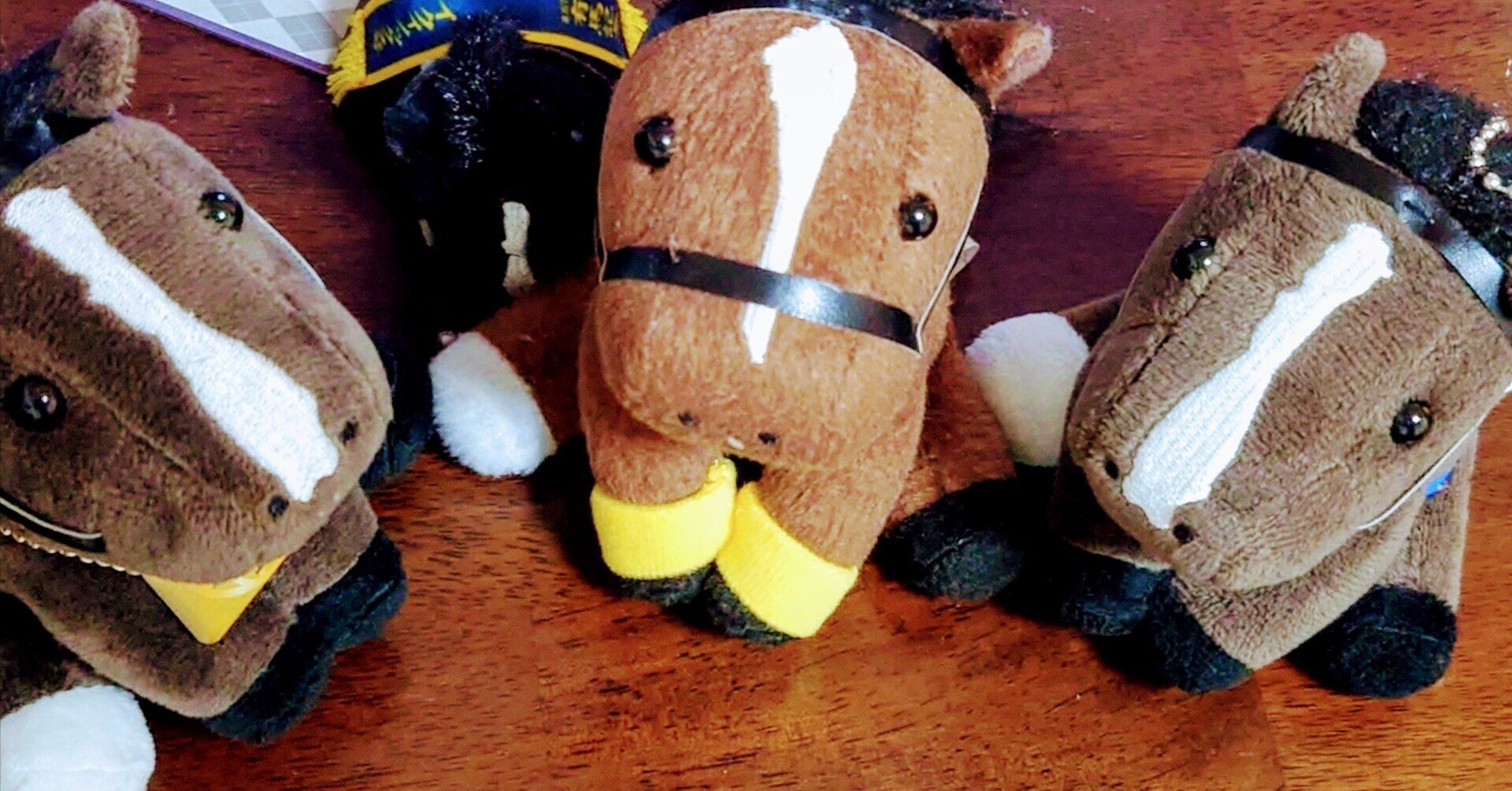 アイドルホース・有馬記念・日本ダービー・ジャパンカップ・天皇賞秋 アイドルホース・有馬記念・日本ダービー・ジャパンカップ・天皇賞秋