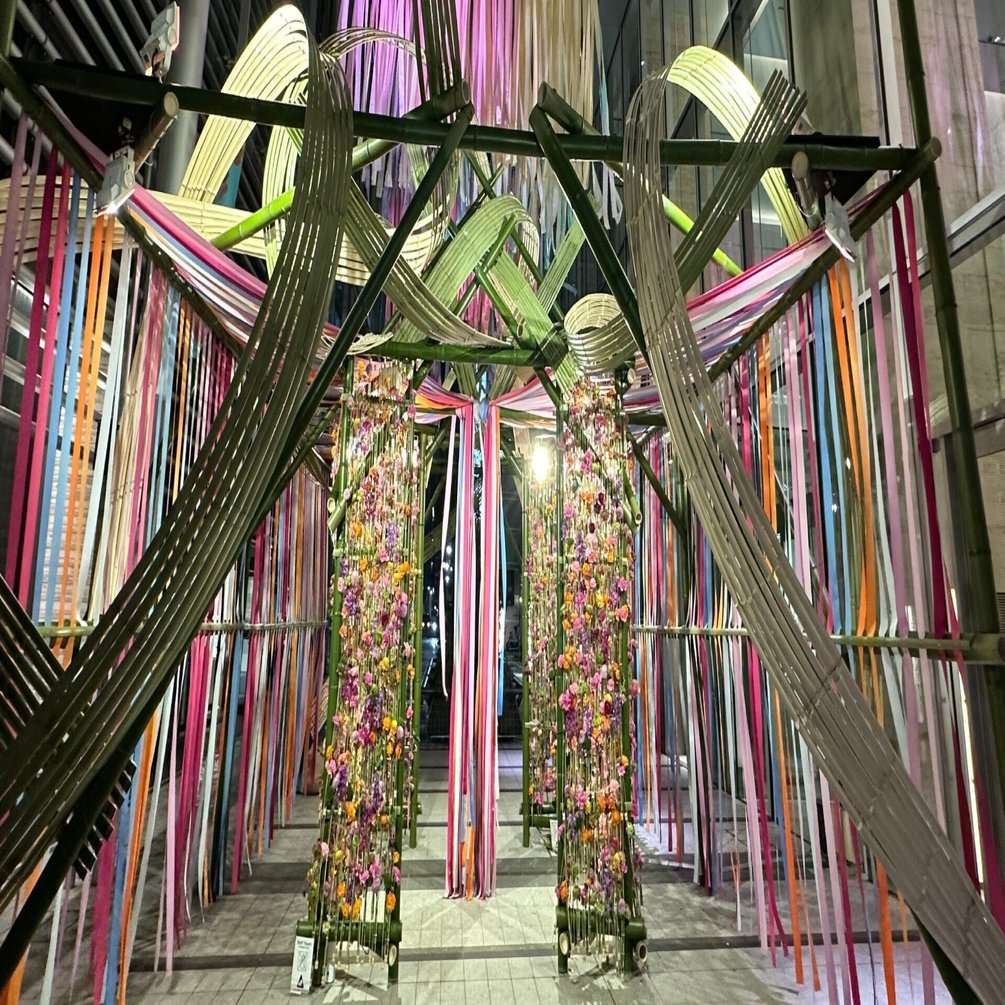 散歩の途中で花を愛でる（2024年春）｜Saki