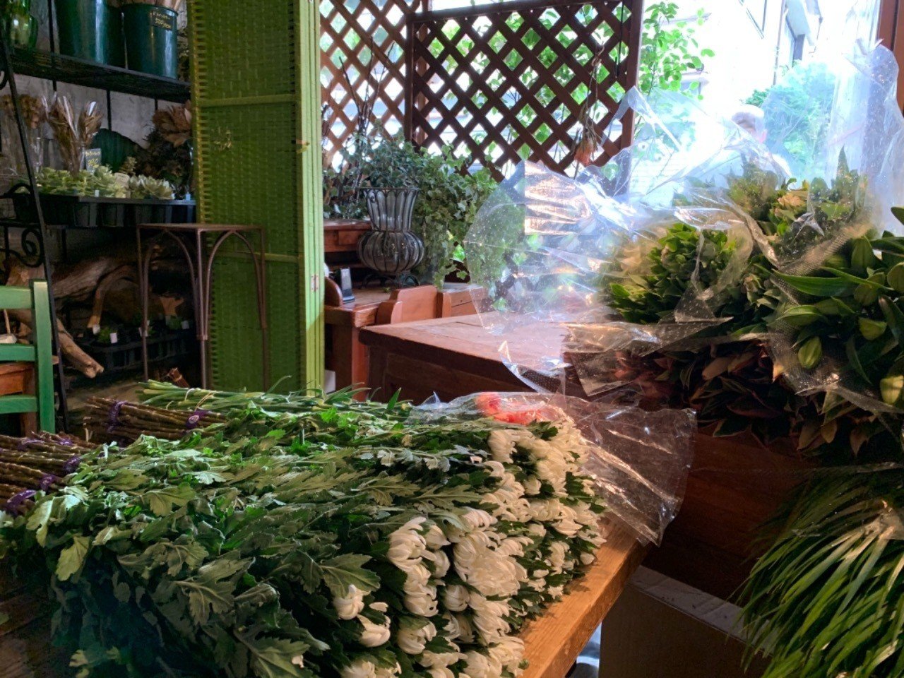 お花屋さんと市場に仕入れに行ってきた くりたまき Note お花屋さんと市場に仕入れに行ってきた くりたまき Note