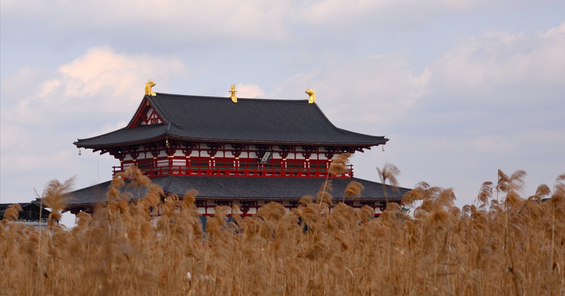 海外移住生活。日本帰省中にポケットチェンジを使ってみた