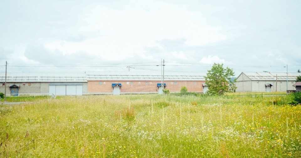 言葉の変化を記録する意味 永代 明介 Note