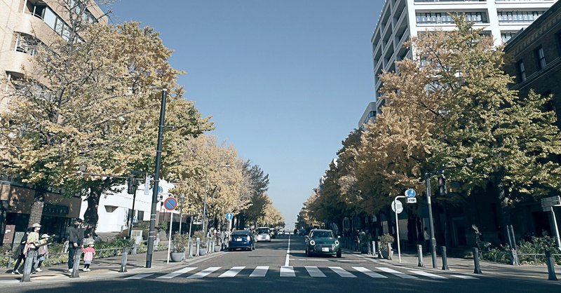 【横浜市中区】横浜紅葉散歩　みなとの辺りで紅葉狩り（イチョウだけど）　23.12.09_10:30