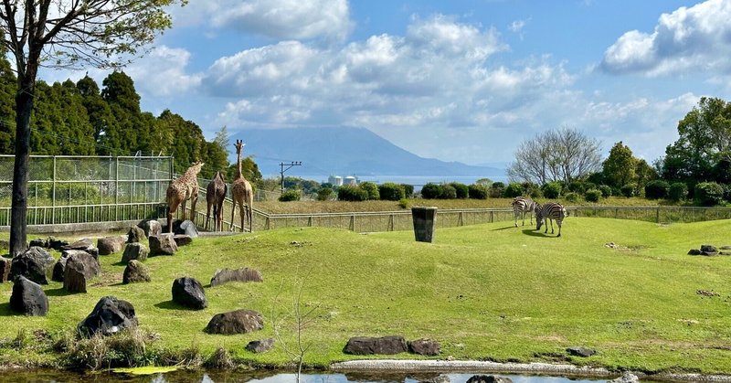 ＜旅の記録＞ー鹿児島県鹿児島市　庭屋が見る九州でコアラが唯一見られる平川動物園