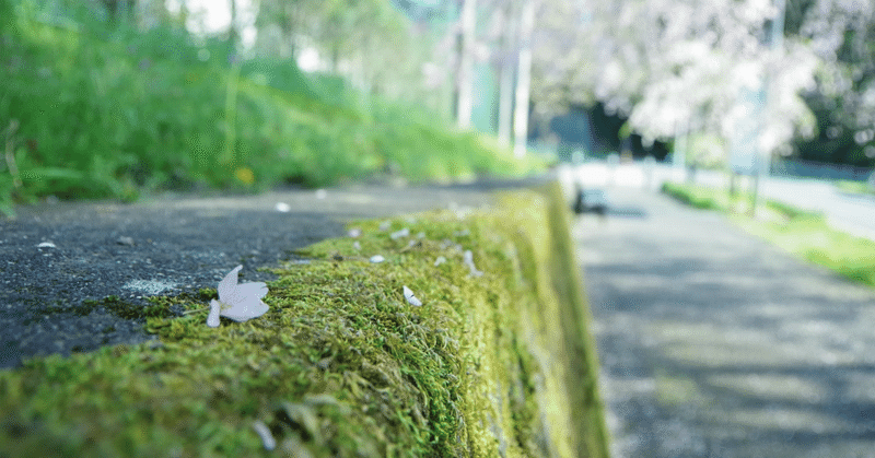 ［ちょっとしたこと］気づけば春だったよ