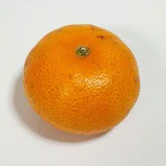 価格未定