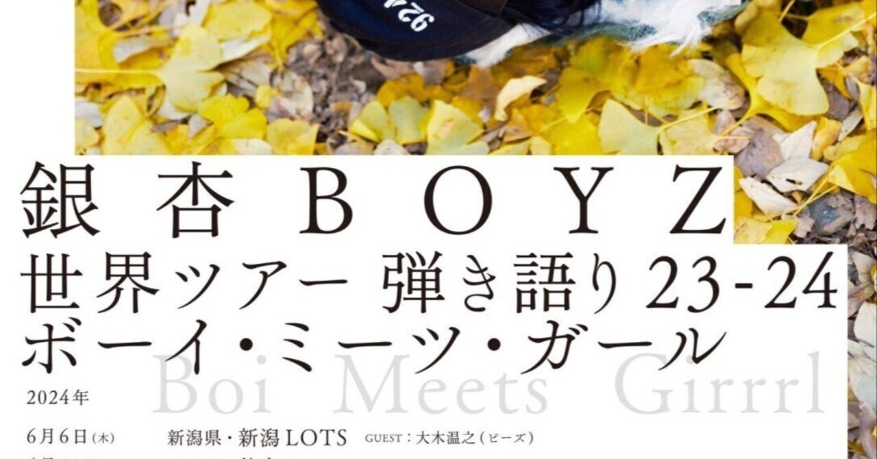銀杏BOYZ 峯田和伸　世界ツアー弾き語りボーイミーツガール　Lサイズ 18年ぶりの全国ツアー“世界ツアー弾き語り23-24 ボーイ・ミーツ
