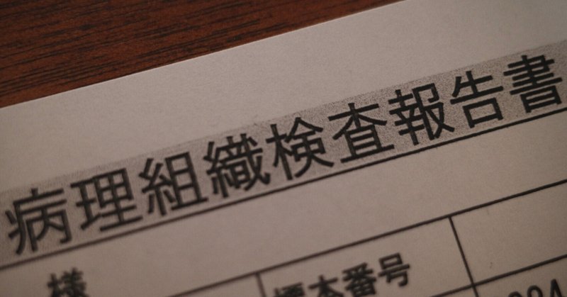 両方ありますか?