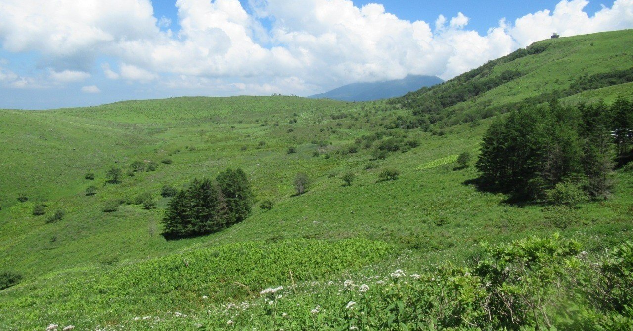 全国に3％しかない貴重な草原！ここ日本です✨｜のだオバさん。