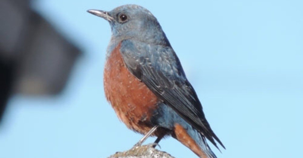 rectangle_large_type_2_6181f5a