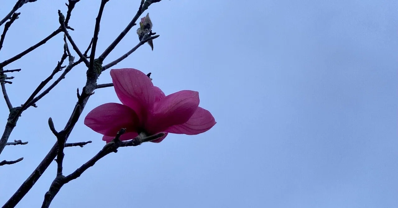 What I do to avoid vasovagal reflex｜まな