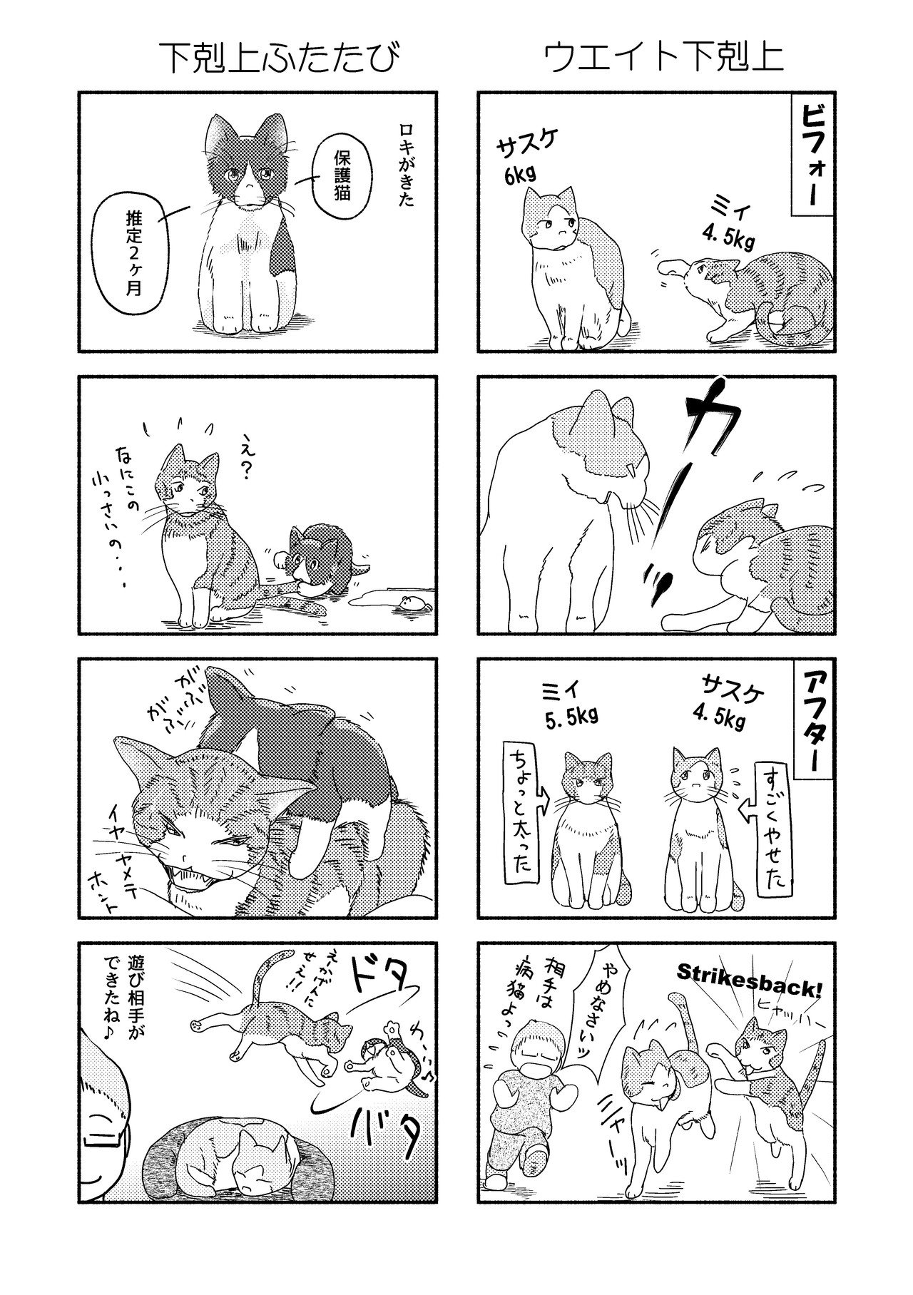 21猫本編