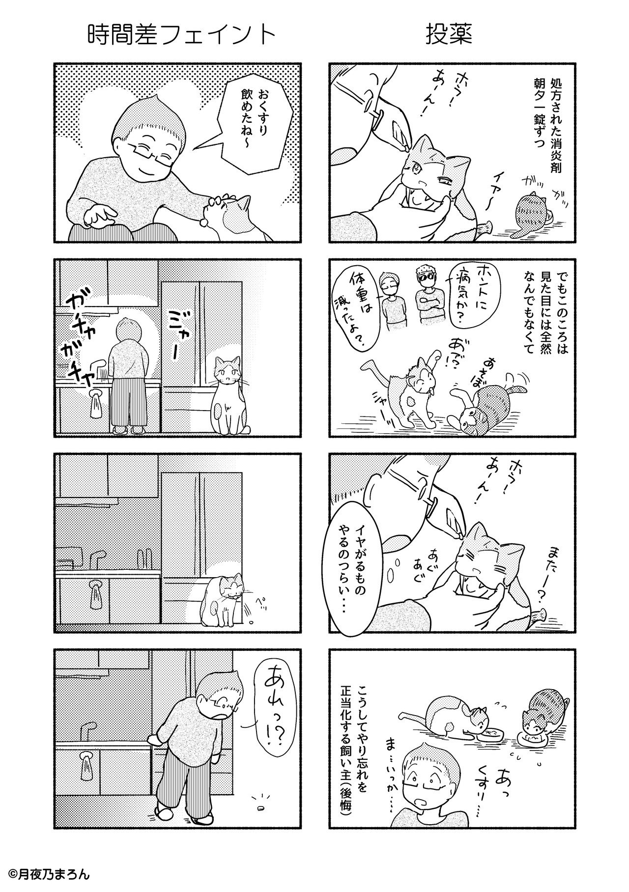 20猫本編