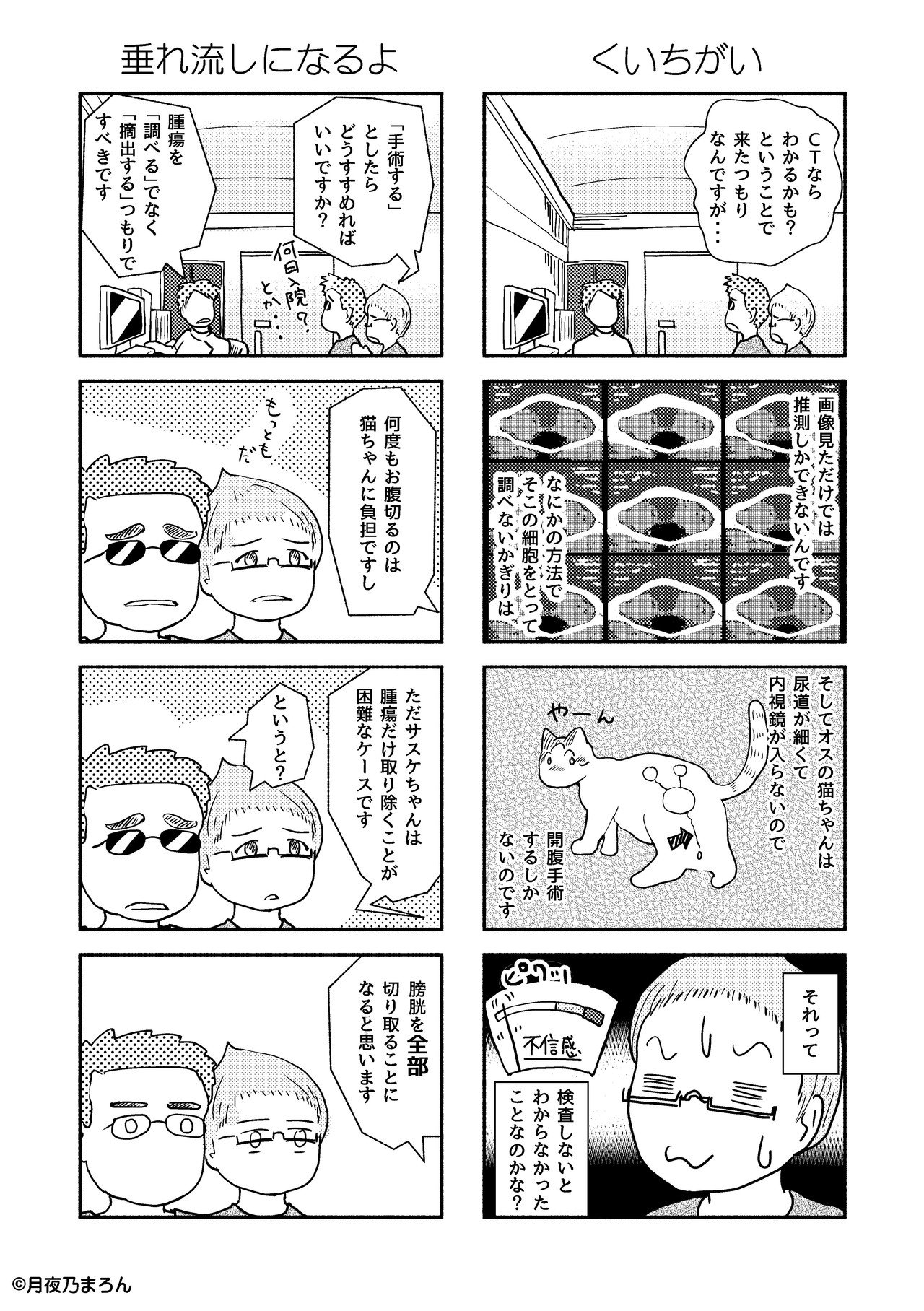 12猫本編