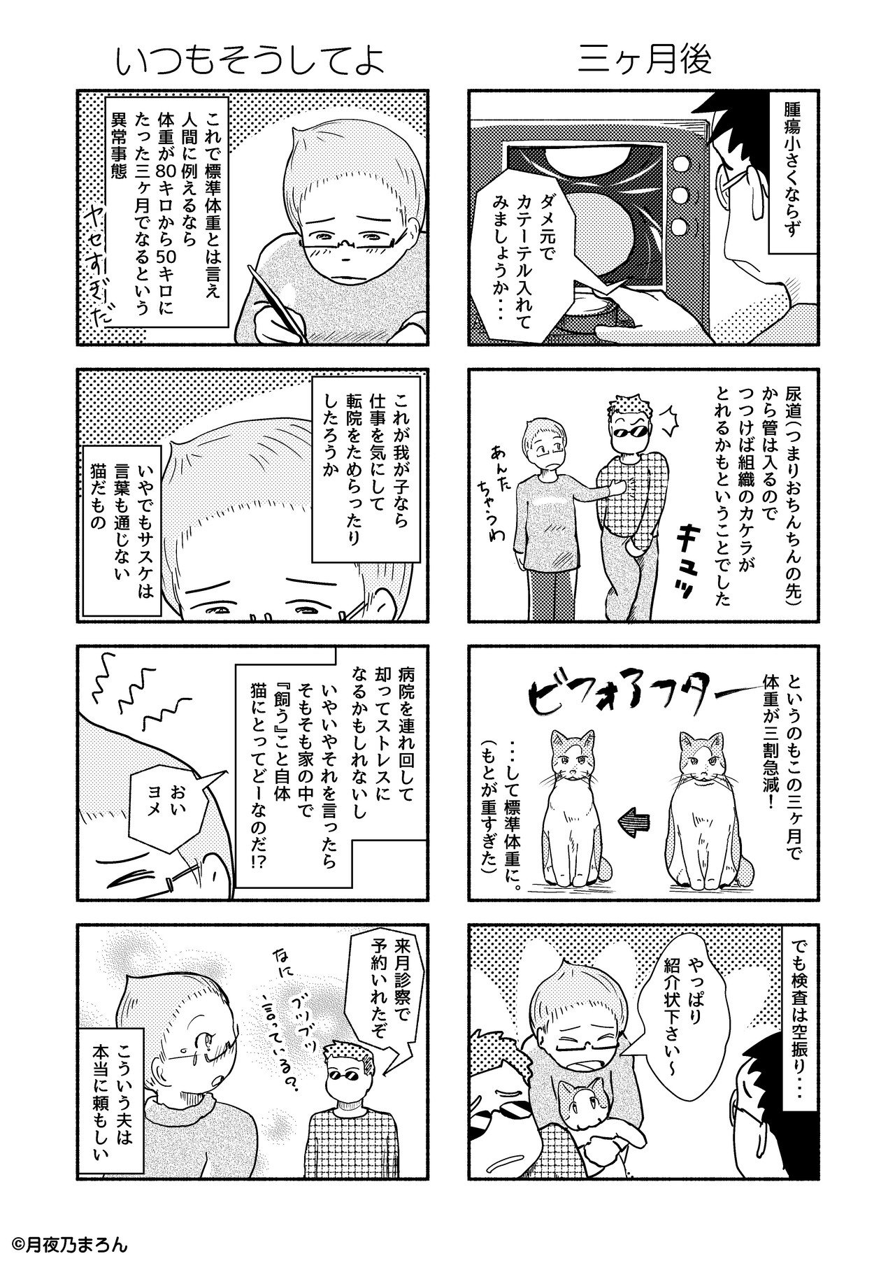 10猫本編