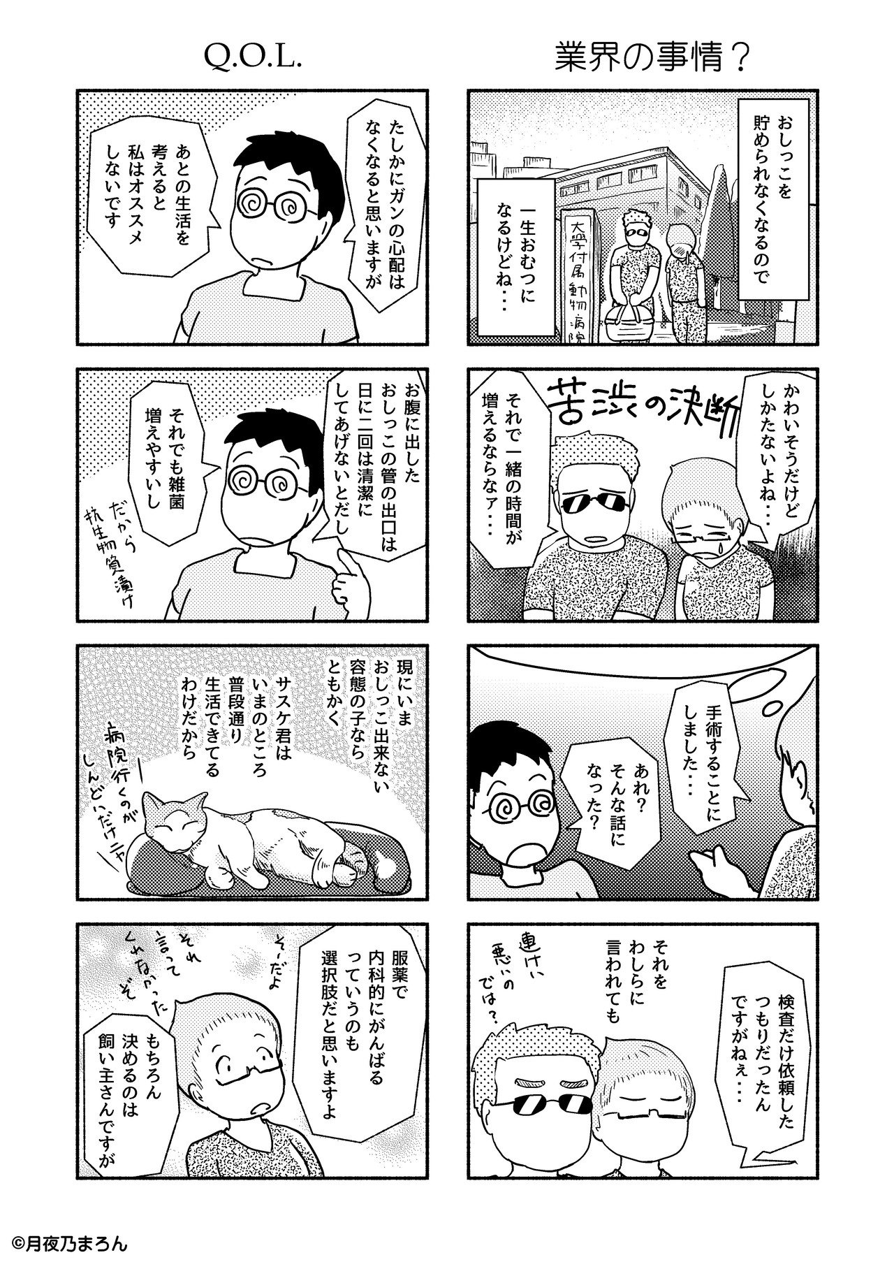 13猫本編