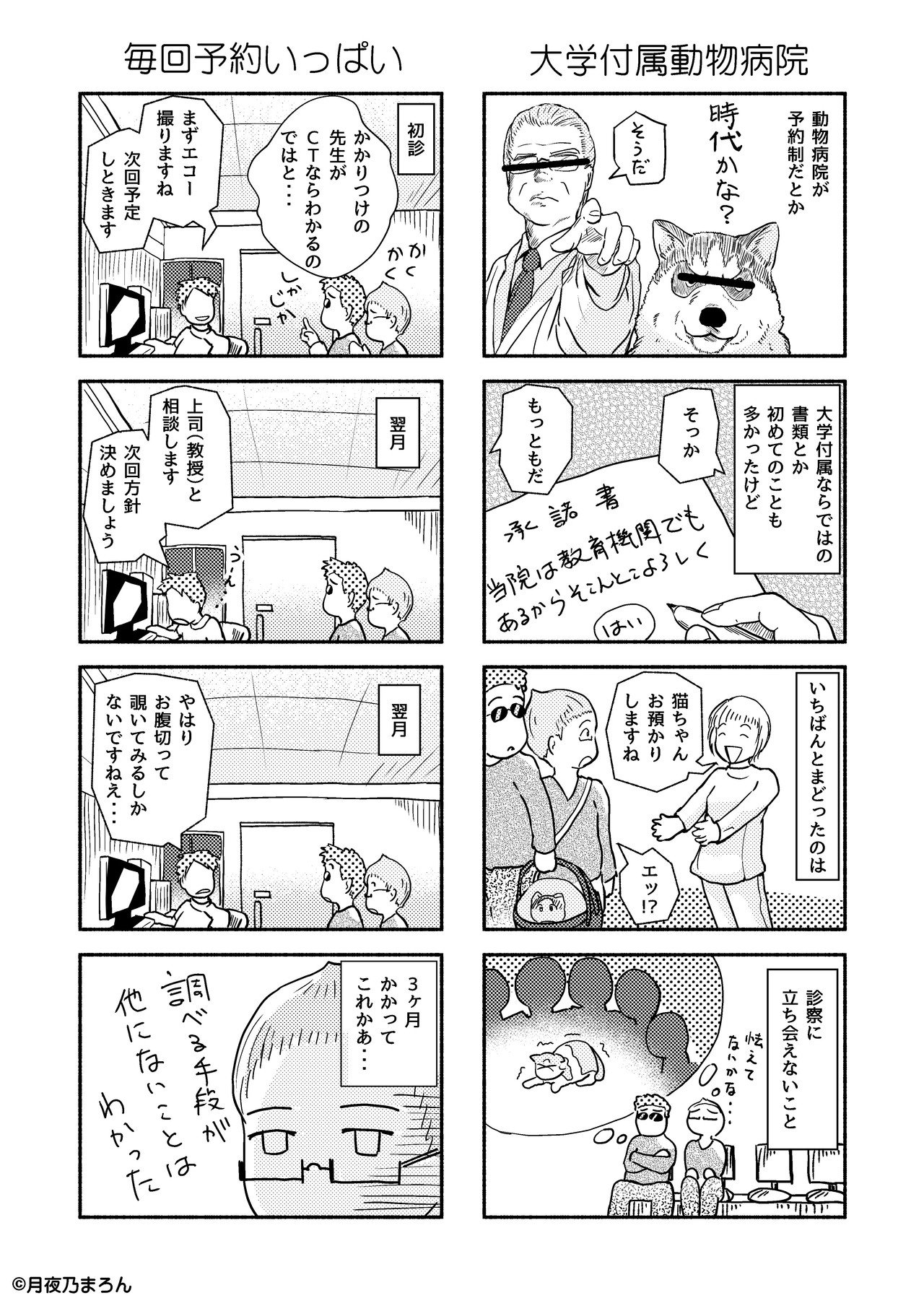 11猫本編