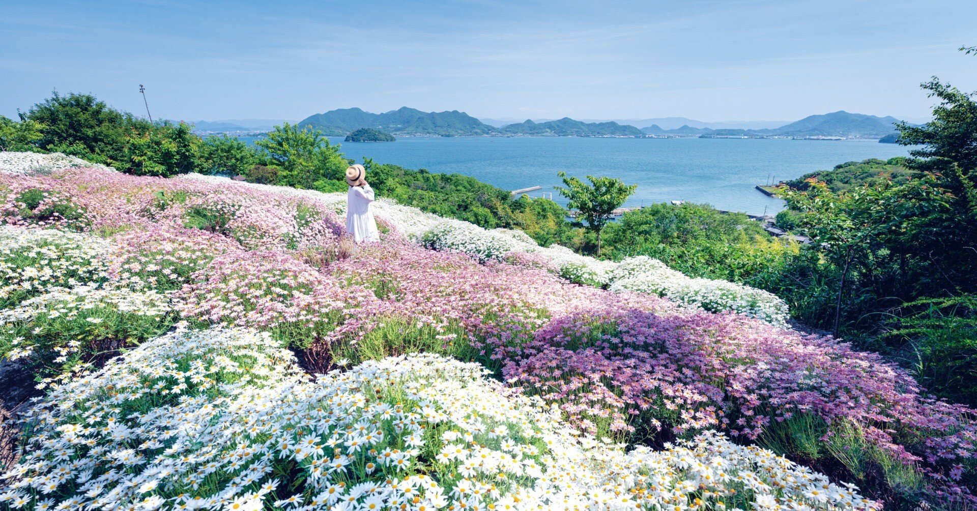 瀬戸内に浮かぶ花畑【天空の花畑】がまもなく見頃💐アクセス情報など