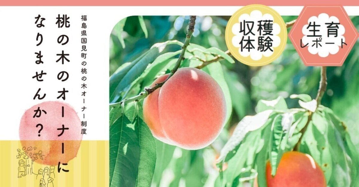 おいしいモノづくりシリーズ」桃の木オーナー2024／案内チラシ