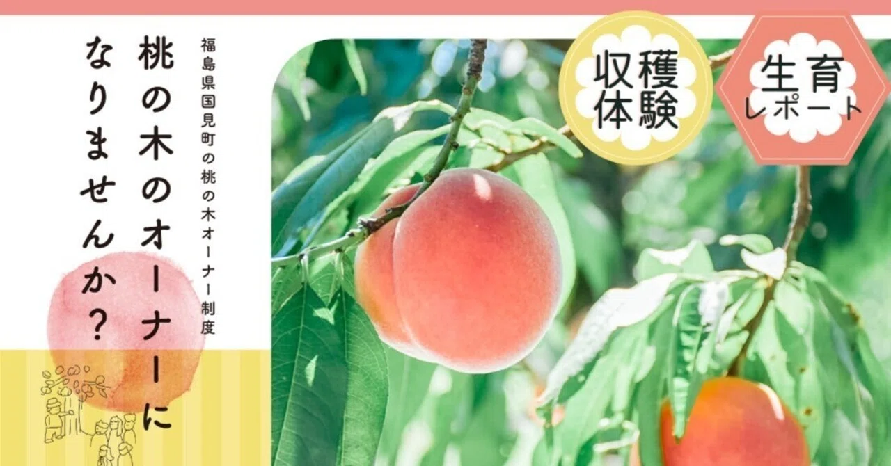 おいしいモノづくりシリーズ」桃の木オーナー2024／案内チラシ