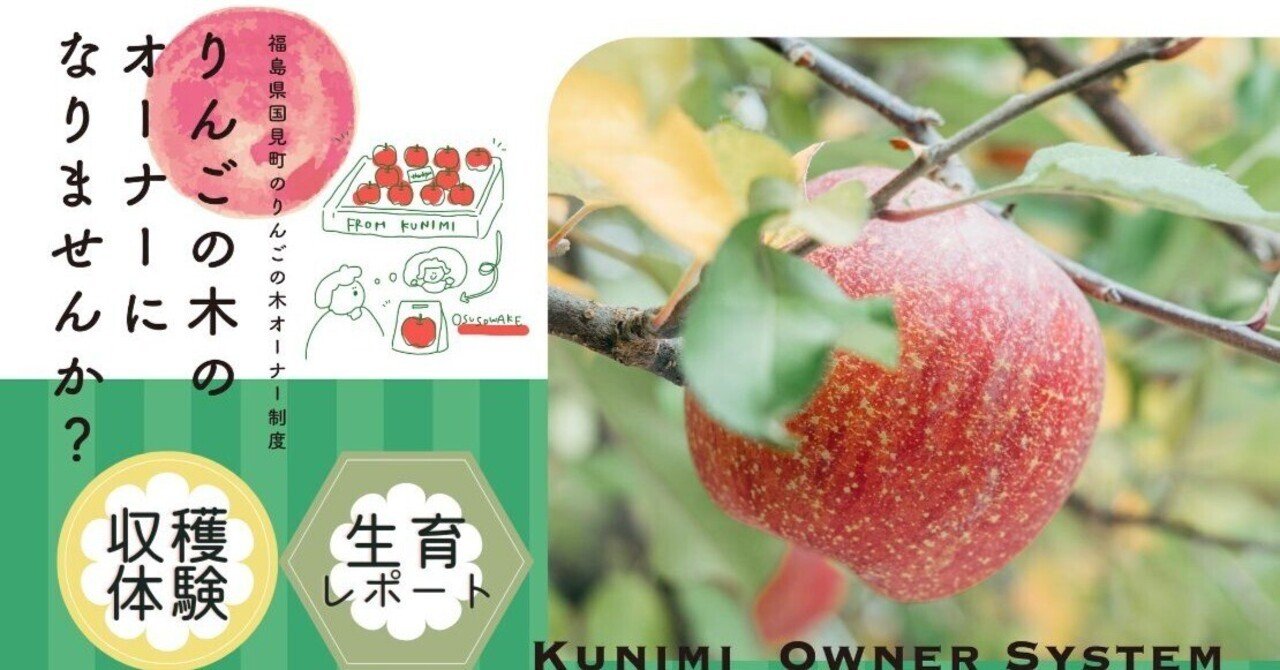 おいしいモノづくりシリーズ」りんごの木オーナー2024／案内チラシ
