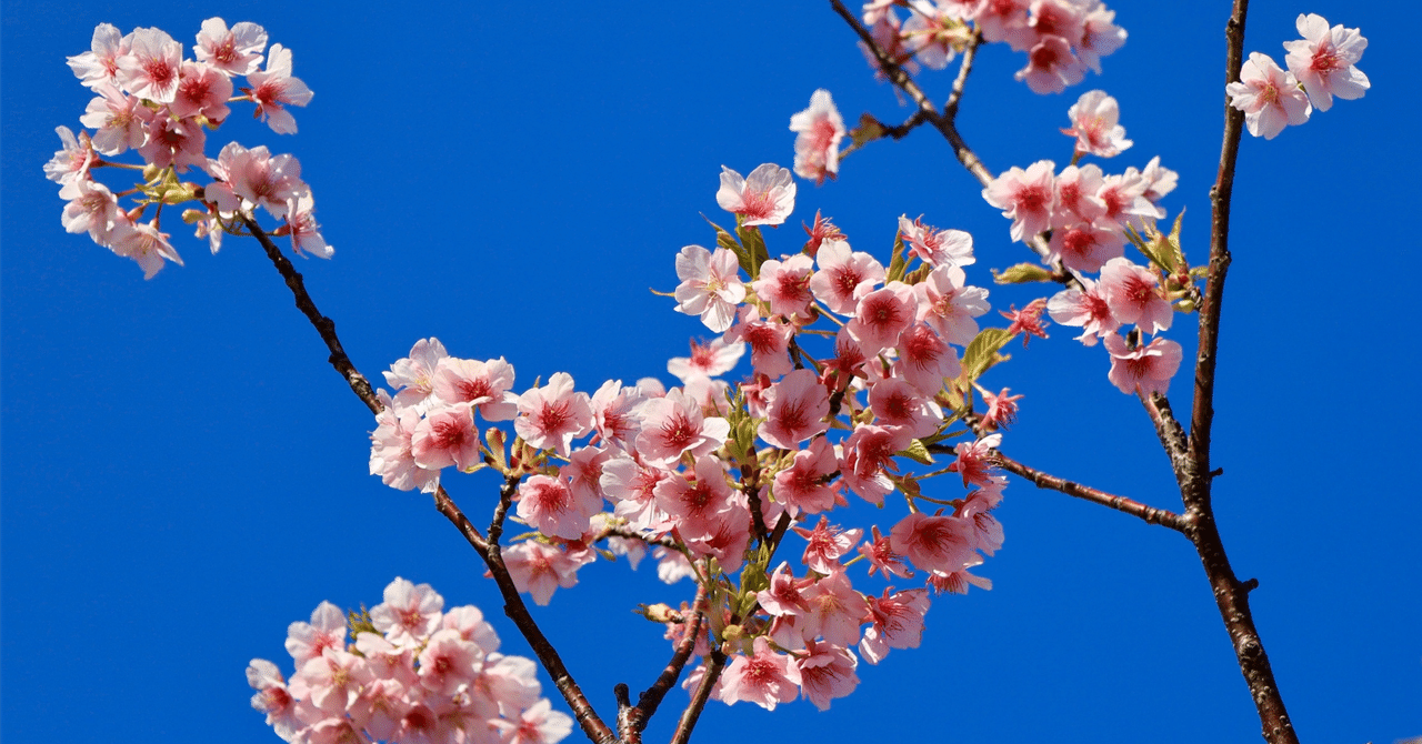 レア埼玉大学工学部3年次編入過去問　H25.H29〜31 令和2〜3の5年分 sddefault.jpg