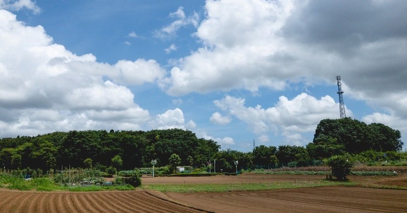 20190813_多分、お盆休み最後の晴天