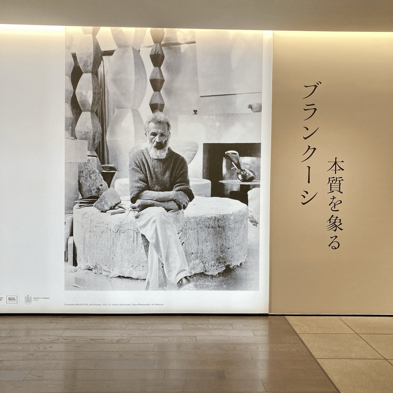 日本初のブランクーシ展！本質に迫る彫刻は、まるくてかわいい｜アート