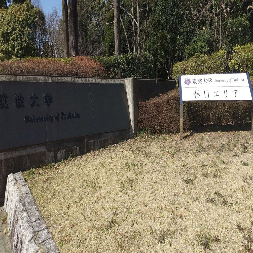 合格体験記】筑波大学情報学群情報メディア創成学類推薦入試《2024年度