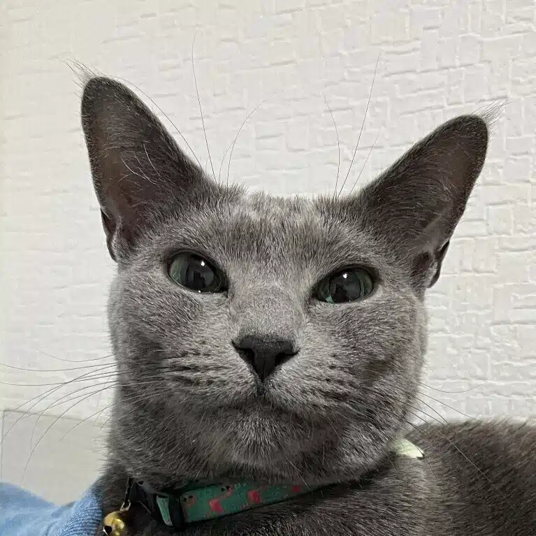 hima