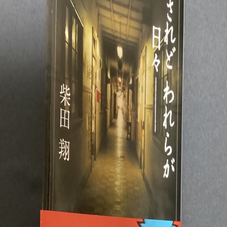 されど われらが日々──・柴田翔｜quirkyekoalalala