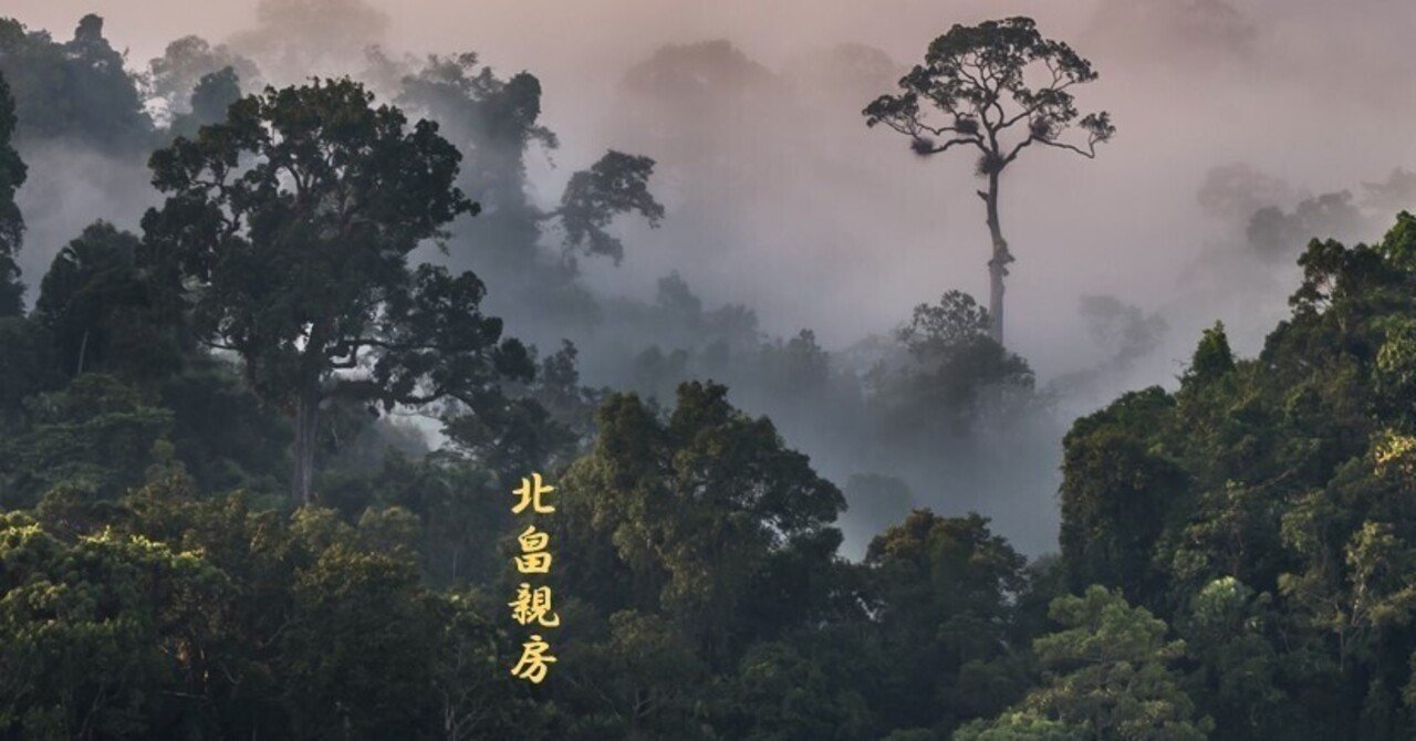 f19061508〇職原抄 上巻 １冊 南北朝時代の公卿北畠親 中世日本の有職故実書 和本 古書 古文書 今谷明 訳・著『北畠親房『神皇正統記』現代語訳・総解説』の読み