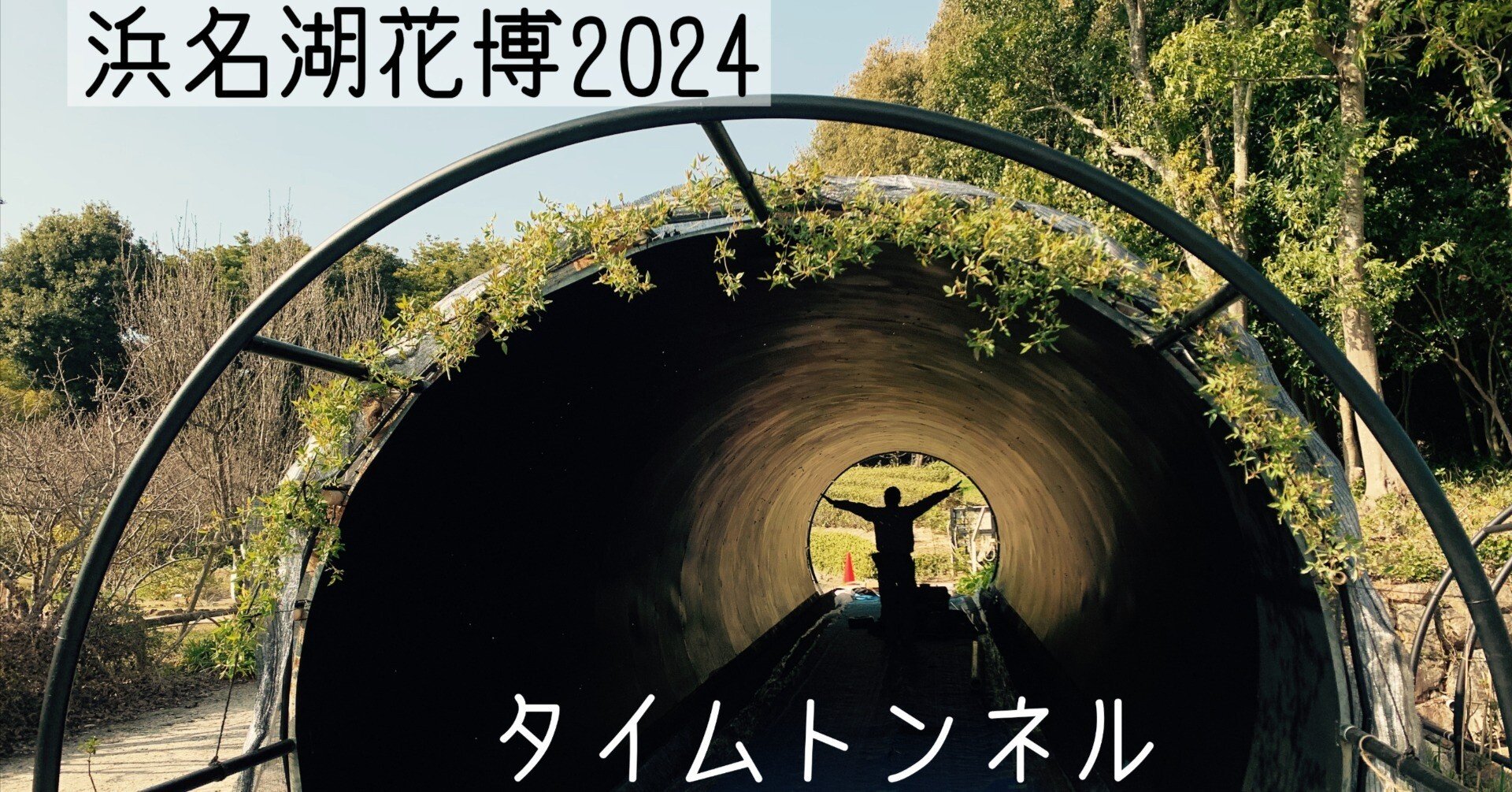星空のタイムトンネル(浜名湖花博2024)VOL.3 の事前知識として
