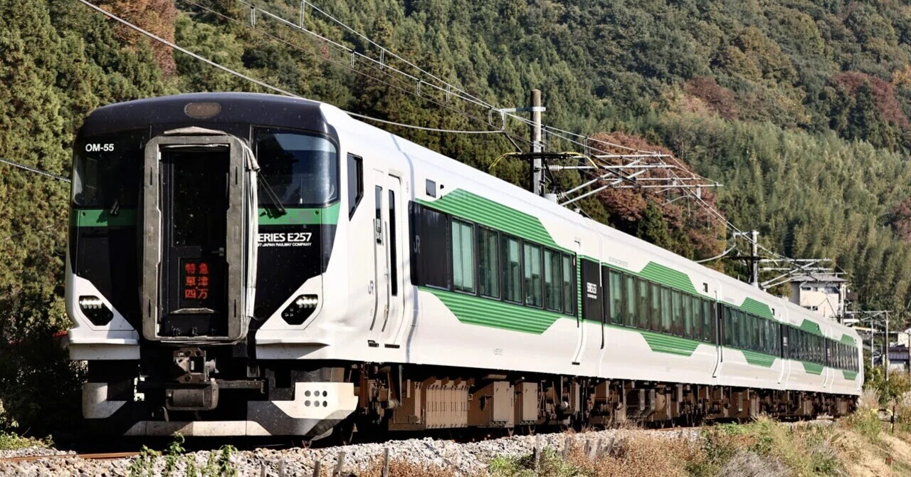 ジャンク E257系11両 E257系の高崎線運用開始から1年経ったが｜薔薇車両