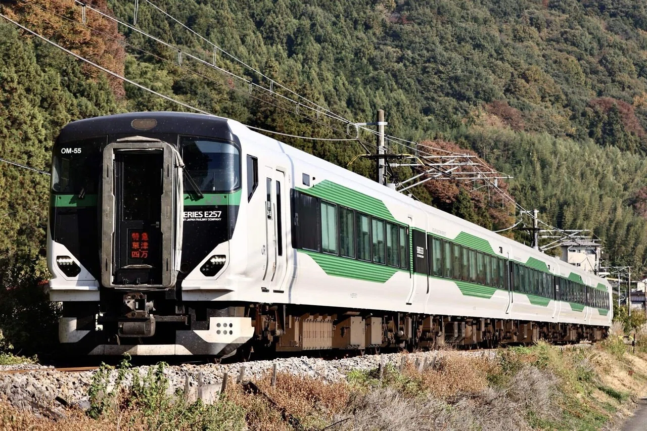 E257系の高崎線運用開始から1年経ったが｜薔薇車両