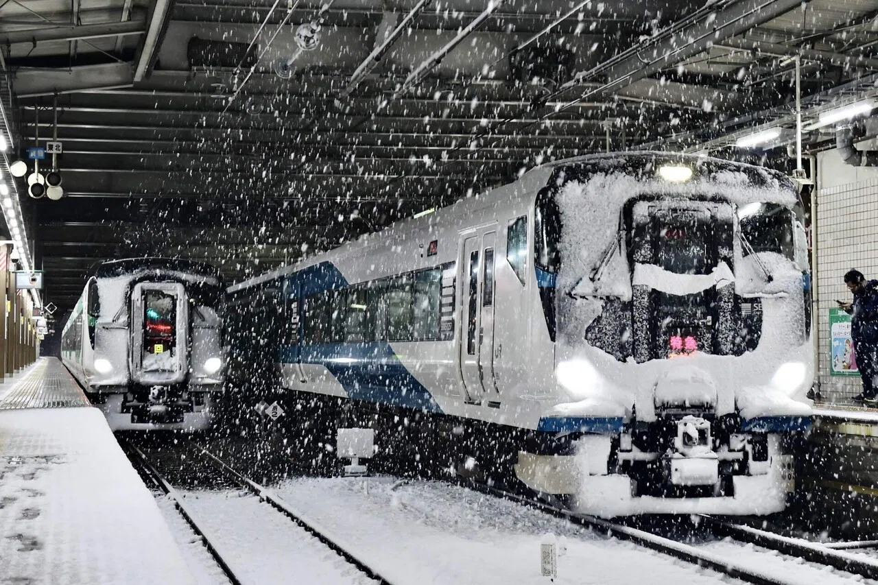 E257系の高崎線運用開始から1年経ったが｜薔薇車両