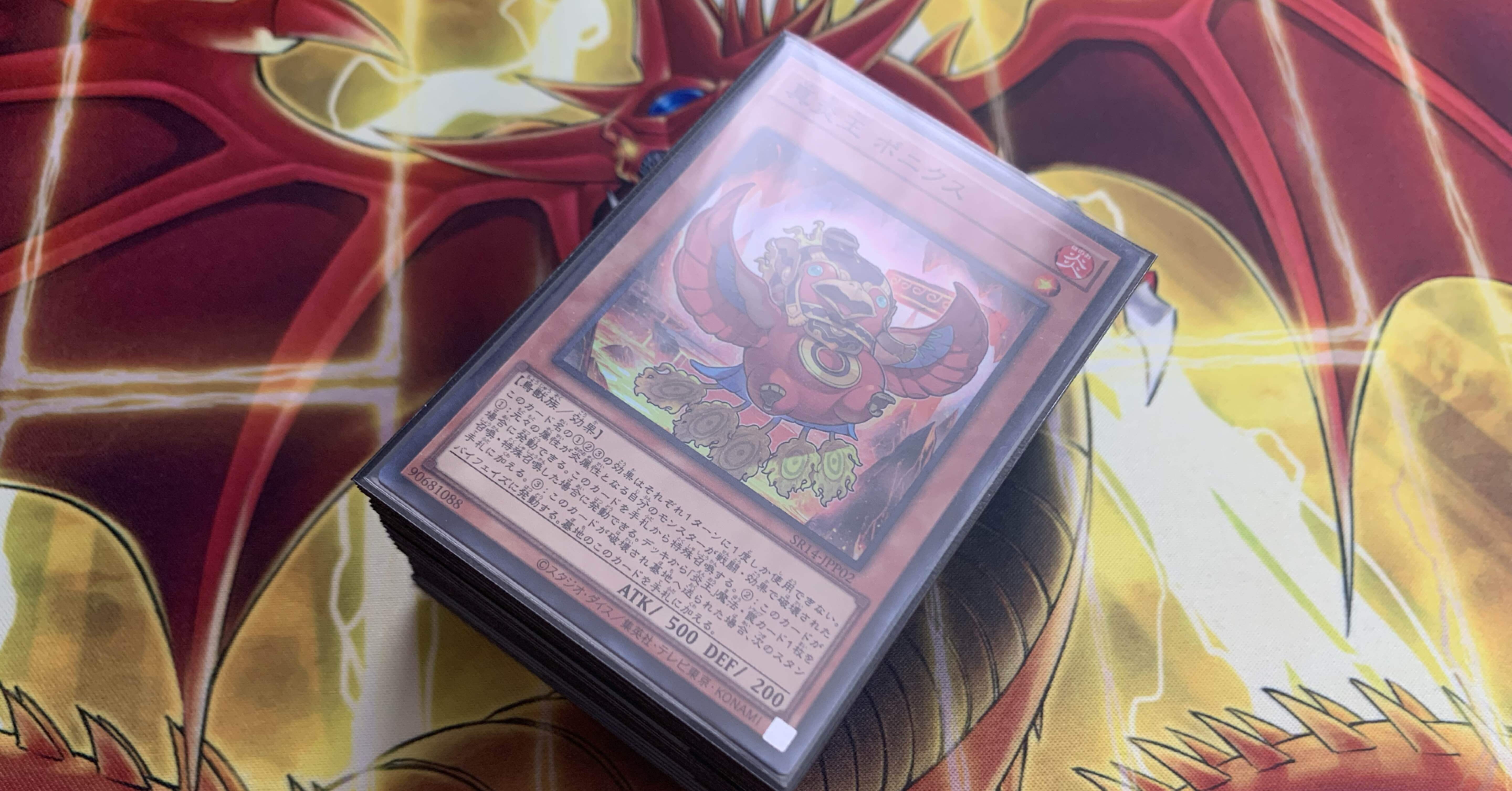 遊戯王】「現代遊戯王初心者の僕」が「デッキ構築に楽しみを感じ始めた