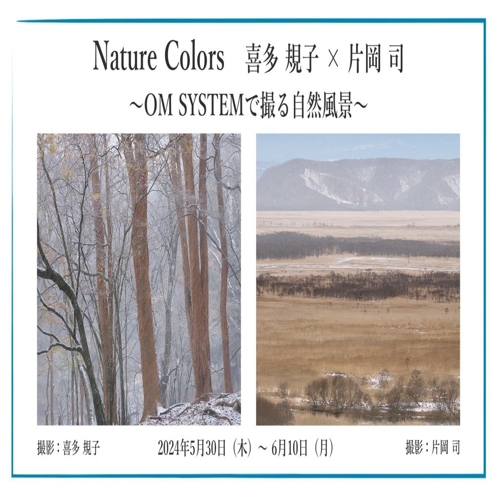 ハイム・スーチン「風景」、希少画集より、状態良好、新品高級額装付 吉崎道治【ストックホルム】希少画集画、状態良好、新品高級額装