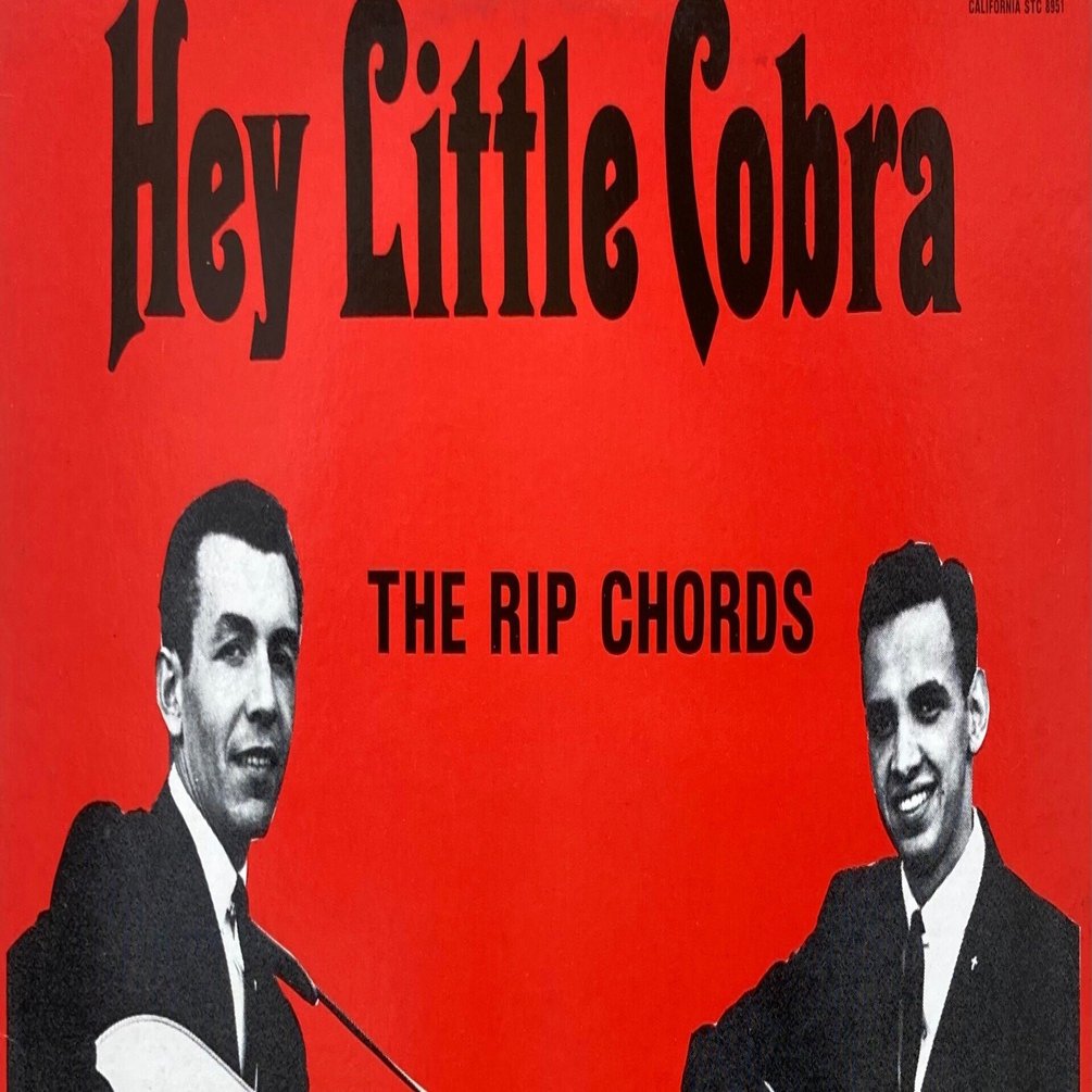 邦楽 COBRA COBRA 【NEVER GIVE UP】 - YouTube