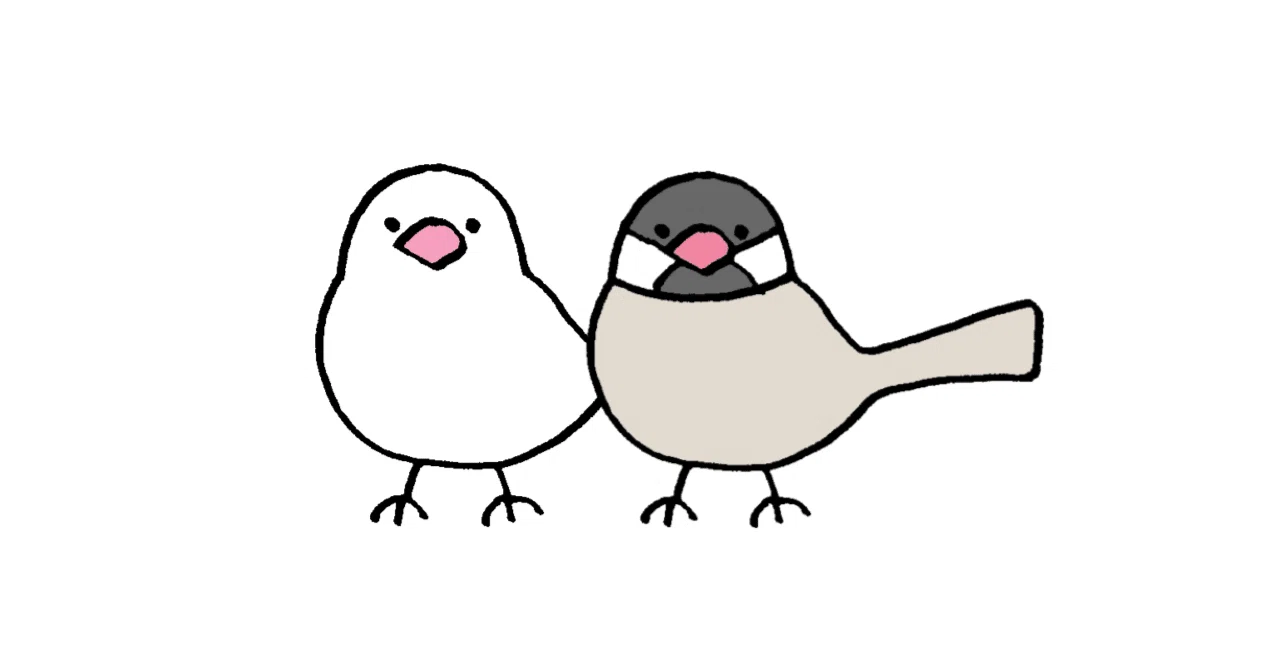 白文鳥の家族 家族の紹介 - 文鳥様｜りょぶん