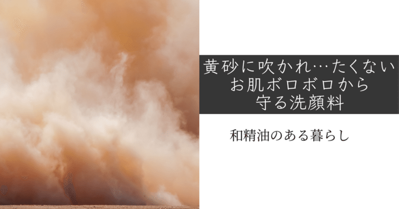 黄砂に吹かれ…たくない。お肌ボロボロから守る洗顔料