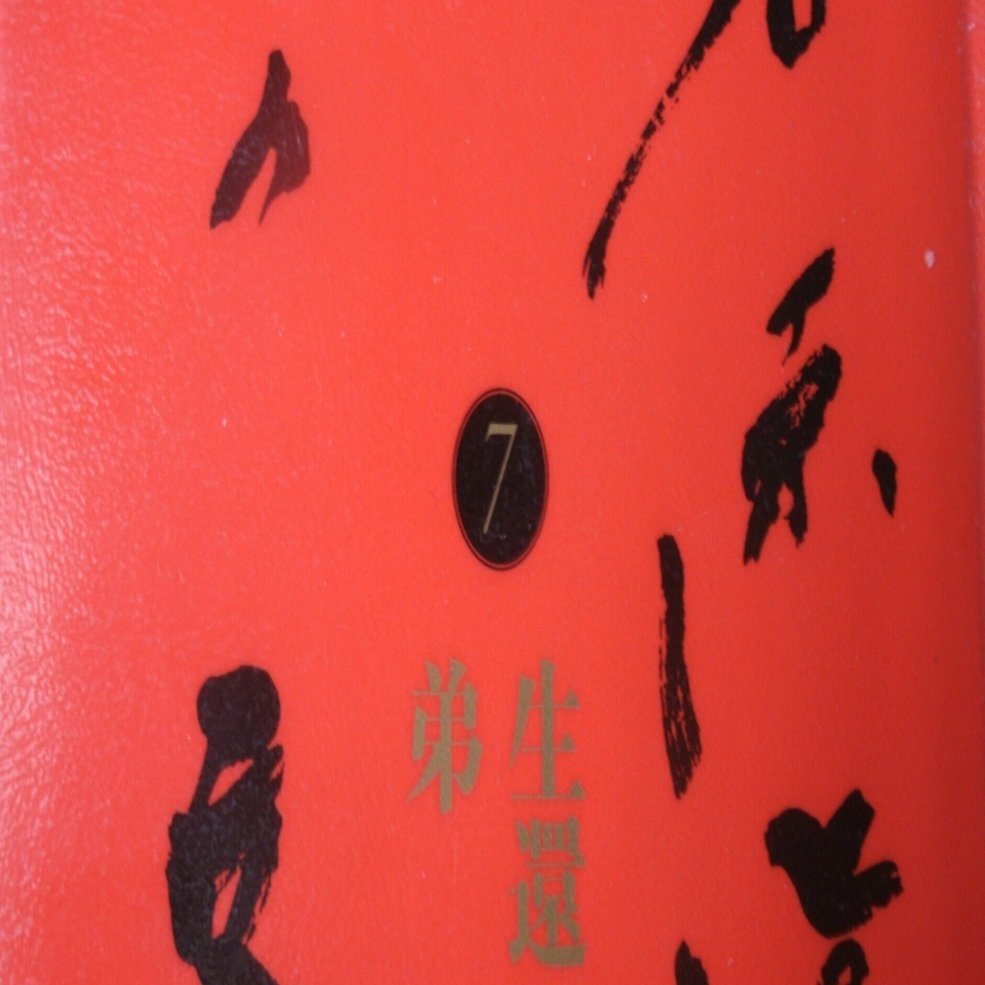 石原慎太郎の『生還』について｜些流透