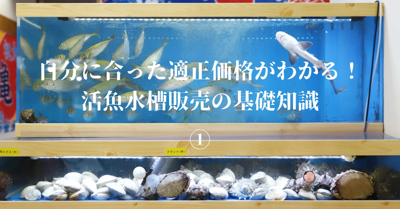 引き取り限定○店舗向け活魚、鑑賞魚用生簀水槽 引き取り限定○店舗向け活魚、鑑賞魚用生簀水槽